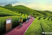 在一起电商:农村电商和农产品如何完美地结合在一起？