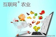 衡阳有哪些电商:什么是新农业电商？你如何理解的？