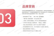 小红书营销价值(小红书的营销价值及其利用策略分析)