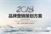 营销策划方案ppt(网店营销策划方案ppt)