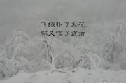伤感文案句句扎心:有什么句子让你莫名心酸伤感，句句扎心，红了眼眶？