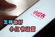 小红书营销推广步骤(小红书营销推广策略分析)