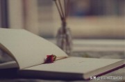 超可爱的文案:有哪些温柔可爱的文案？