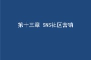sns营销(sns营销策划)