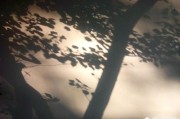营销小故事
:求一个营销借势故事？