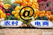 电商进农村:有的人说新农村经济的农村电商一直不温不火，这是为什么？电商进入农村的出入口又在哪里？