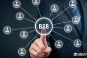 电商网站的开发:如何做好一个B2B行业信息门户/B2B电商平台网站建设开发策划方案？