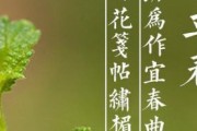 朋友圈文案来了:2021立春来了朋友圈文案说说