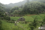 小型的电商平台有哪些:三农卖货平台都有哪些靠谱的推荐？
