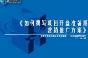 项目营销策略(大创项目营销策略)