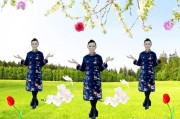 短视频文案是指什么:什么是短视频运营？