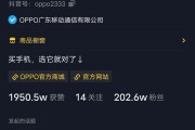 抖音广告收入(抖音广告收入这么多)