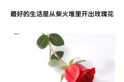 超级可爱的文案:有没有第一眼就爱上的可爱又温柔的短句？