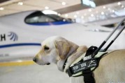 导盲犬文案:如何看待把导盲犬带入到公共场合的行为？