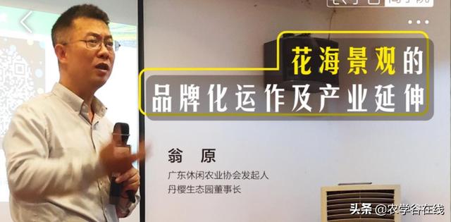 有给绿色有机农业产品做营销方案的公司吗？