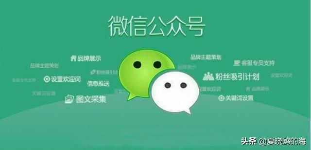 小团队准备申请微信公众号学做自媒体，该如何写策划方案？