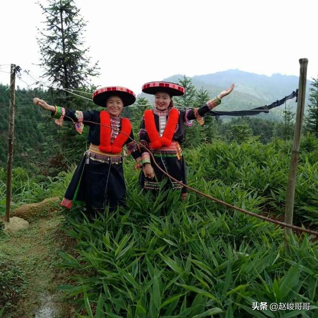 做自媒体新三农如何和政府合作带动村民提高收入？