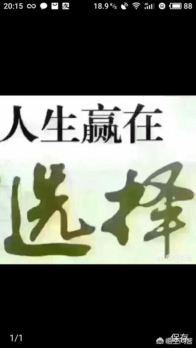 你认为什么类型的自媒体节目比较受欢迎，为什么？