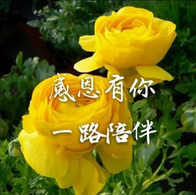 现在自媒体这么火，你加入了吗？