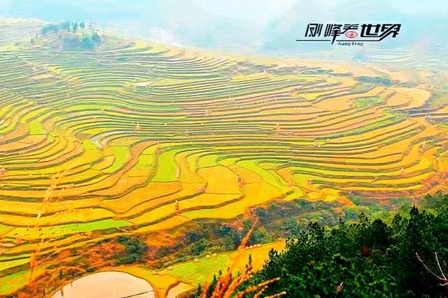 贵州的省会为什么是贵阳而不是遵义？