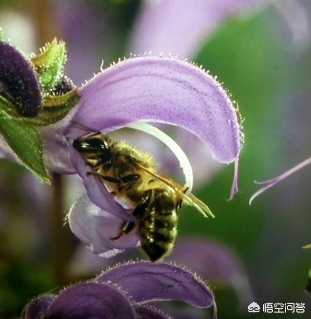 自媒体如何每天收入过千？