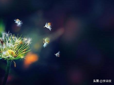 有什么很短的宝藏文案？