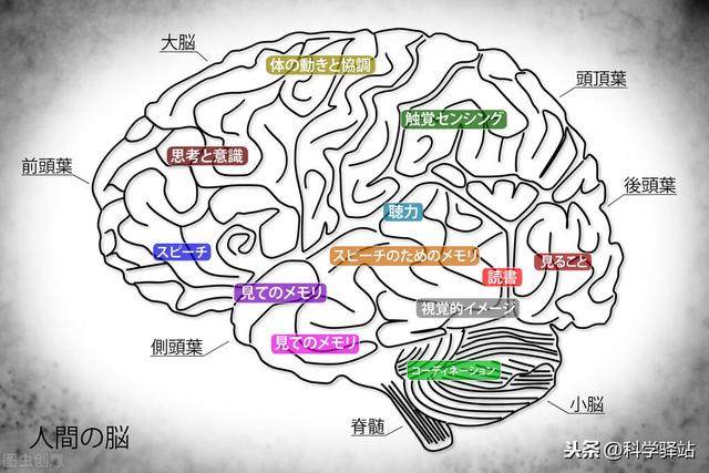 爱因斯坦的智商是怎么测出来的呢？