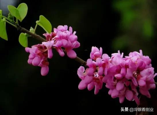 新媒体文案如何在传播过程中让用户记住并且能有一定的影响力？