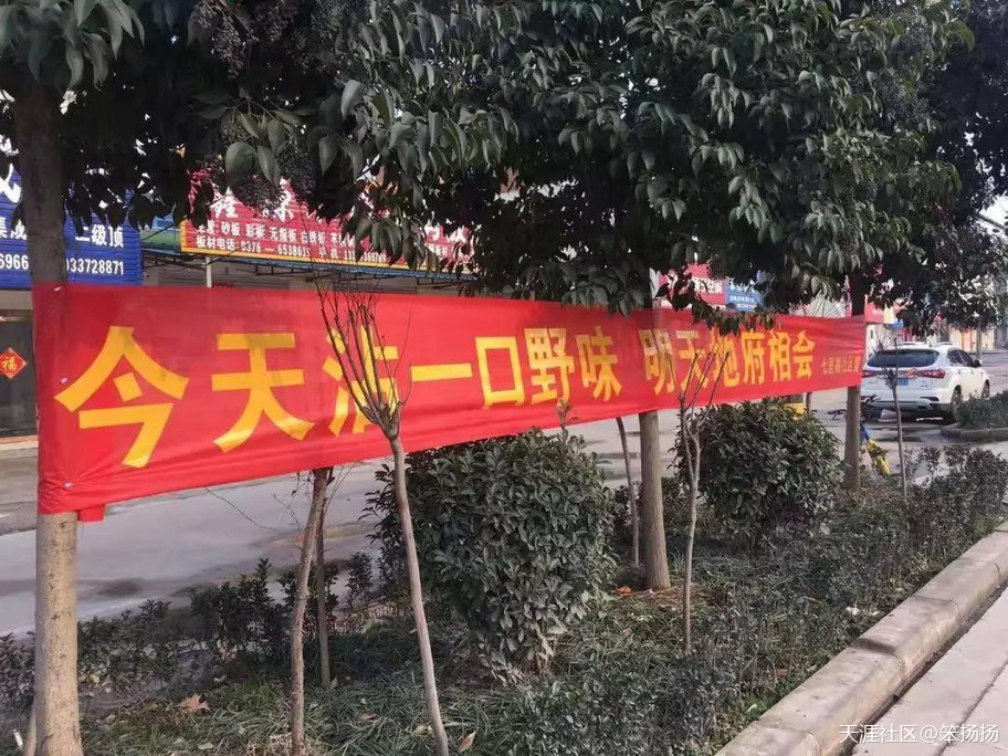 抗肺炎的横幅亮了！是广告公司文案回村了么？(转载)
