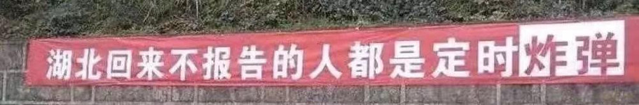 抗肺炎的横幅亮了！是广告公司文案回村了么？(转载)