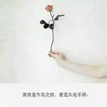 适合发朋友圈的唯美句子有哪些？