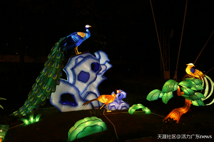 幻彩闪耀鹏城夜 嗨歌跨年迎双“旦”——首届深圳欢乐谷幻彩灯光节开幕