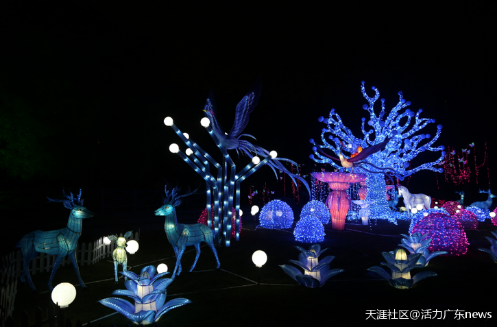 幻彩闪耀鹏城夜 嗨歌跨年迎双“旦”——首届深圳欢乐谷幻彩灯光节开幕