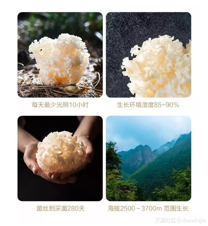 菜品配上好文案，打造餐厅爆款菜只需8分钟？