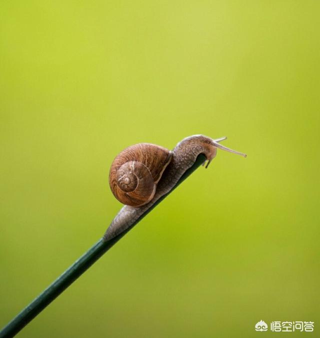 学院团委组织部部门招新介绍要如何写？