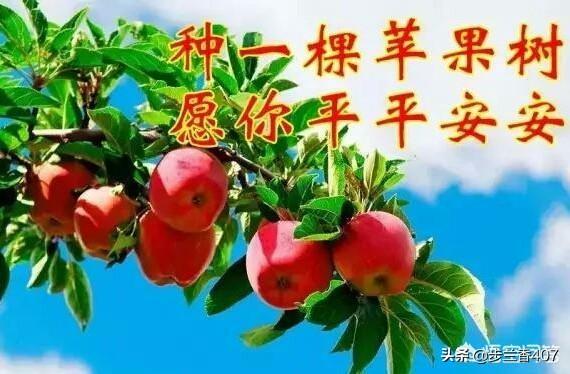 安徽记者调查：代写朋友圈文案分等级收费，从1元到几百元不等, 你怎么看？