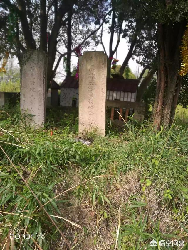 有专家提倡扫墓网上祭奠，大家怎么看？
