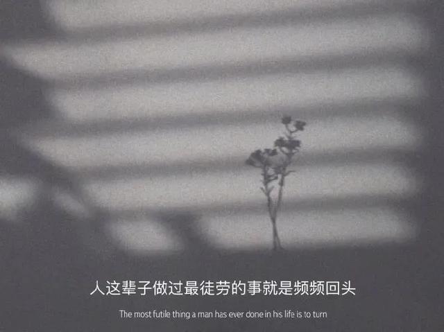 网易云热评墙最扎心的短句有哪些？