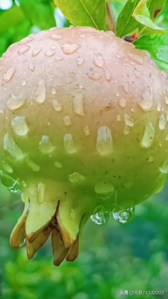 有什么好的伤感段子？