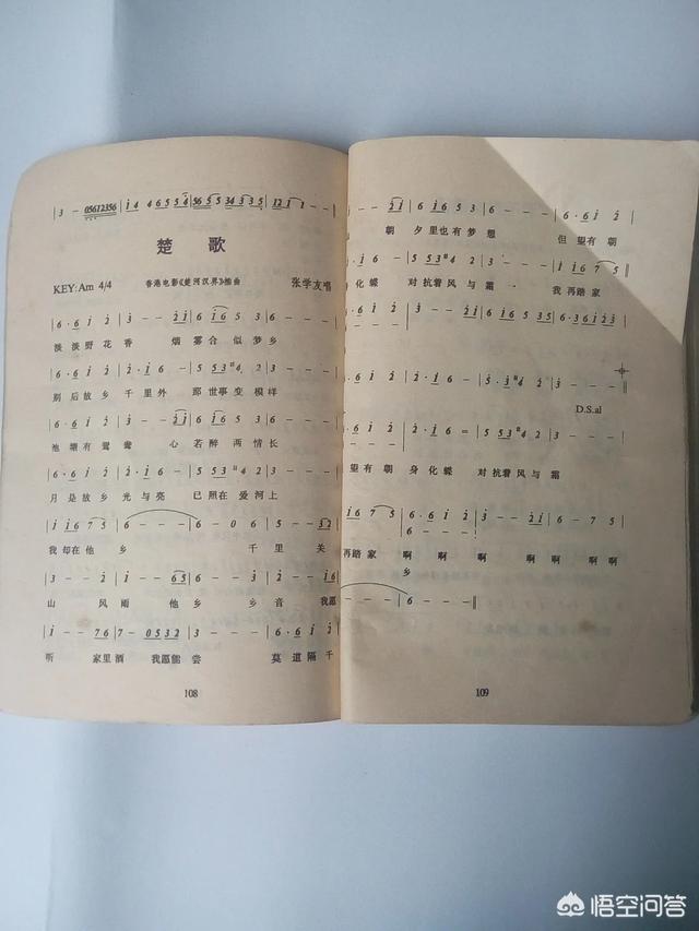 很喜欢的小众歌曲突然烂大街是什么体验？