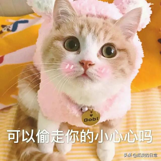 有没有适合发朋友圈的可爱文案？