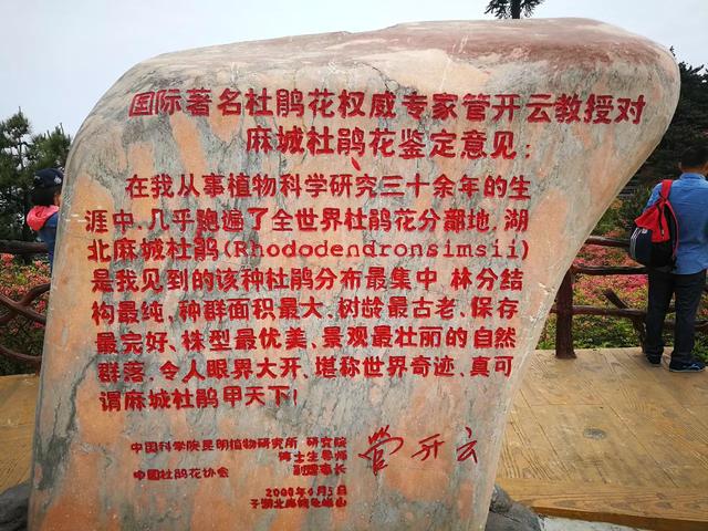 百里杜鹃怎么玩，什么时候去好？