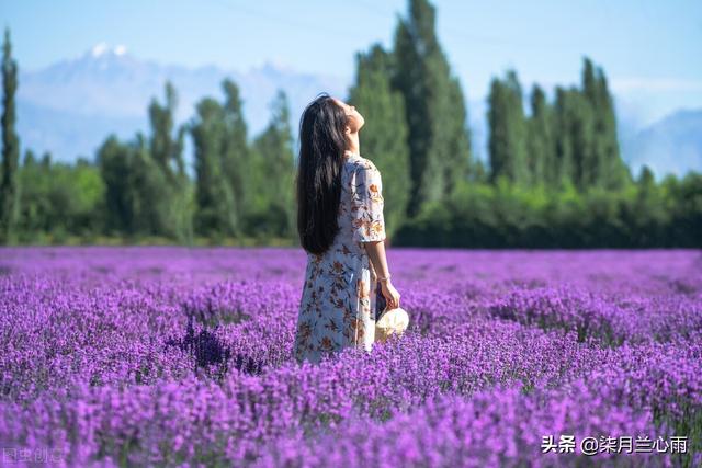 疫情三年让你明白了什么？