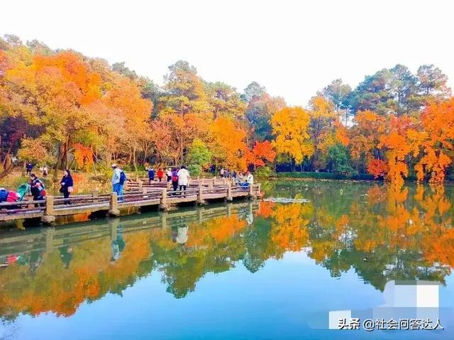 人过五十岁后最大的感慨是什么？