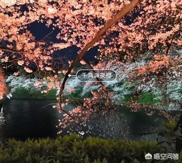 春天到了，开始春游了，你有哪些可以推荐的好玩的踏春地点？