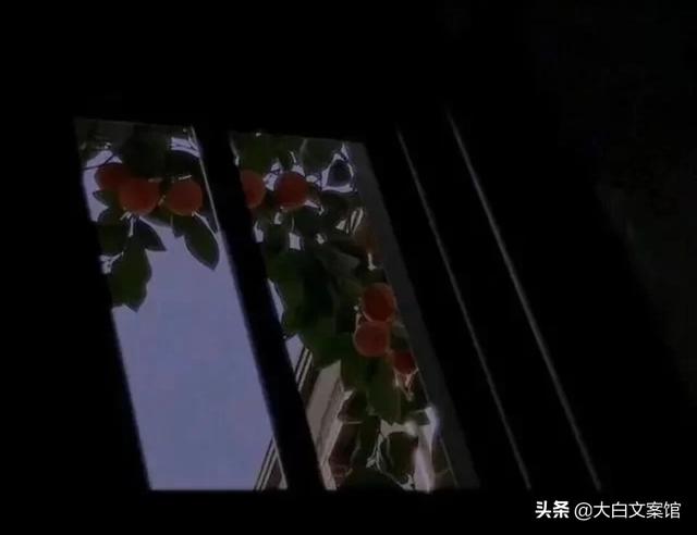 有没有一些比较丧的文案？有哪些？