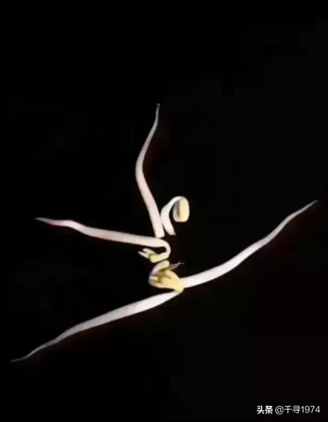 20个字内的爆笑段子有哪些？