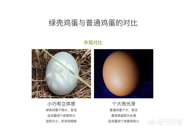 优质农产品，如何进行市场推广，让更多的城市消费者知晓？