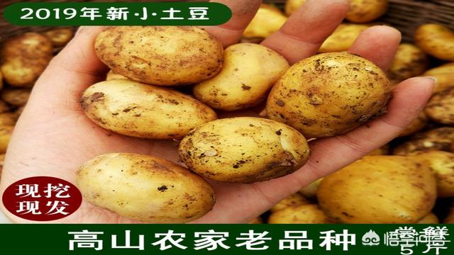 优质农产品，如何进行市场推广，让更多的城市消费者知晓？