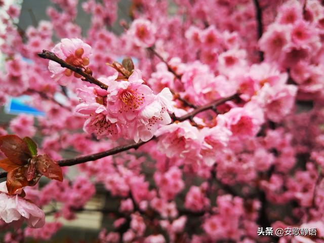 因为考试没有给男朋友过生日，男朋友生气了怎么办？